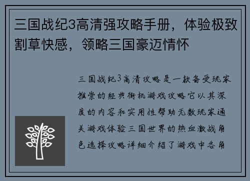 三国战纪3高清强攻略手册，体验极致割草快感，领略三国豪迈情怀